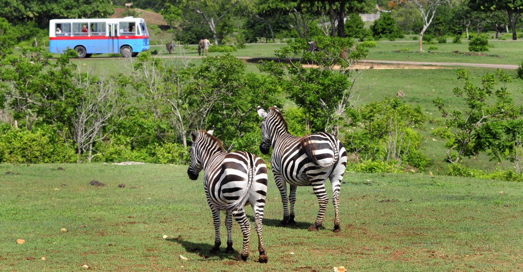 Foto: Roberto Carlos Medina.