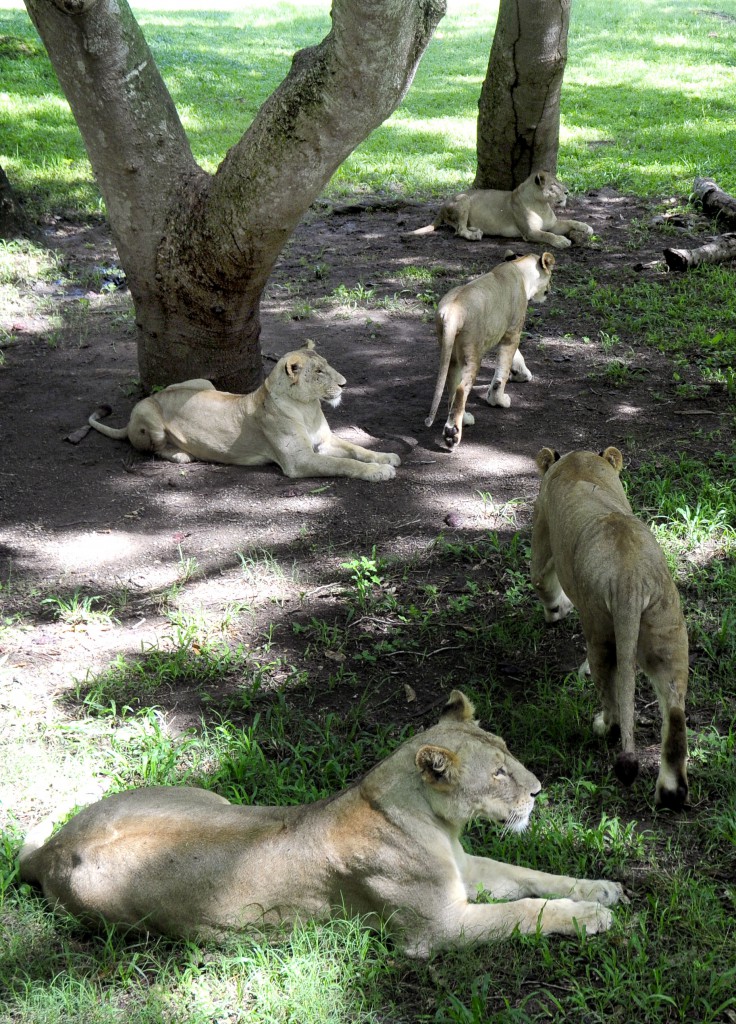 Foto: Roberto Carlos Medina.