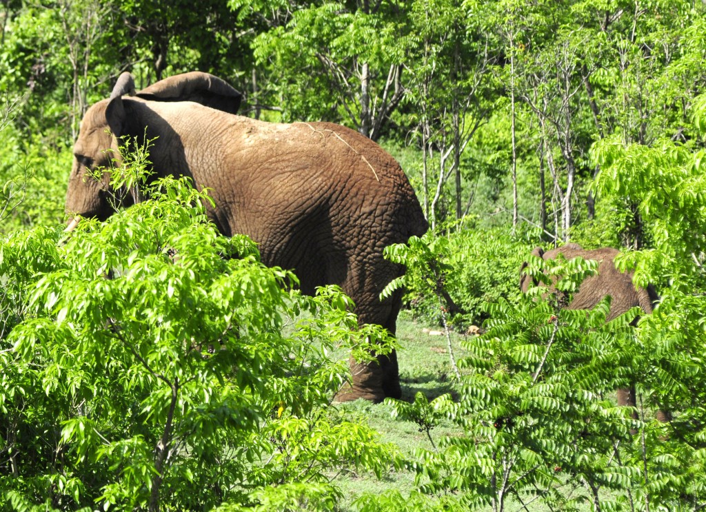 Foto: Roberto Carlos Medina.
