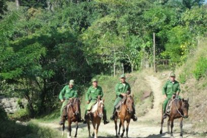 Restauradores naturales