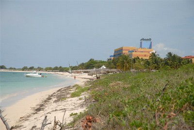 Trabajadores forestales ha repoblado la península de Ancón, eliminando especies exóticas invasoras que hacen peligrar la vida del ecosistema. (Foto: Vicente Brito)