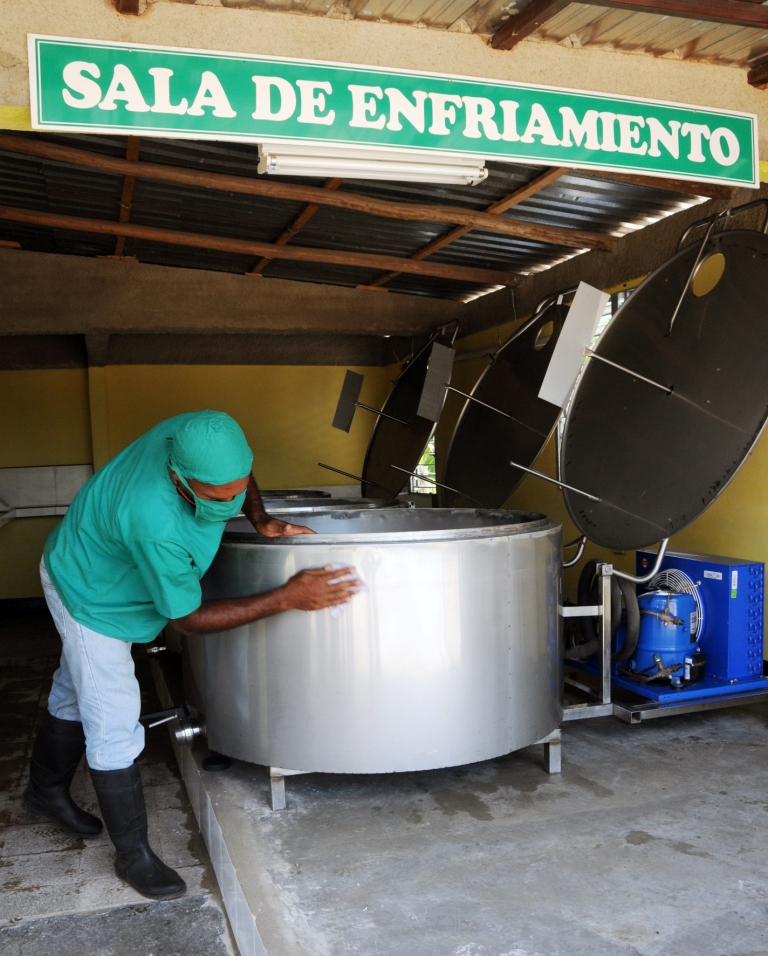 A los productores les preocupa que los termos no alcancen para el acopio de la cercana zafra lechera de julio y agosto. Fotos: Orlando Durán Hernández