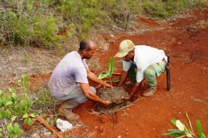 Determinantes acciones a favor del medio ambiente