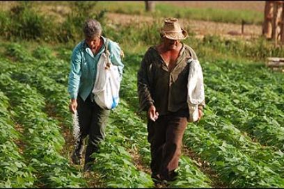 Ley de Seguridad Social: Sobre jubilaciones y pensiones