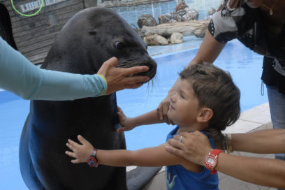 Aprendiendo en el Acuario Nacional