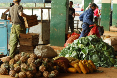 Comercio Interior: Vinculados más de 11 mil 500 trabajadores a formas no estatales de gestión