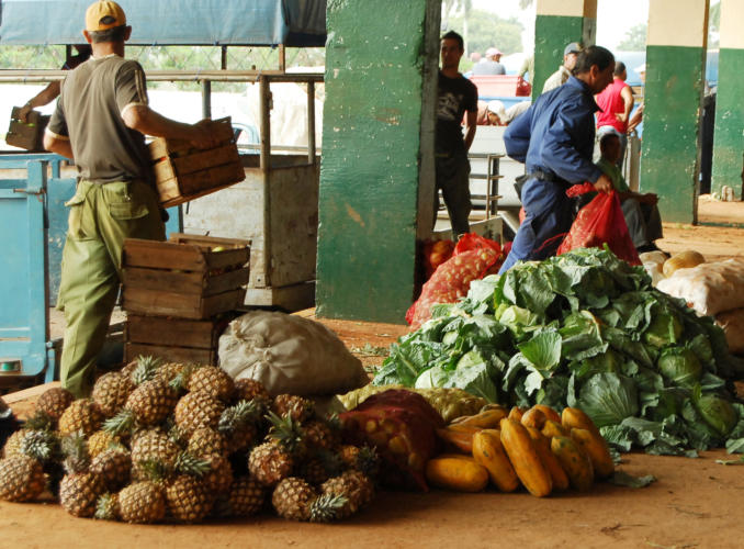 En la localidad de El Trigal, en la capital, funciona la única cooperativa no agropecuaria de comercialización mayorista. Foto: Heriberto González