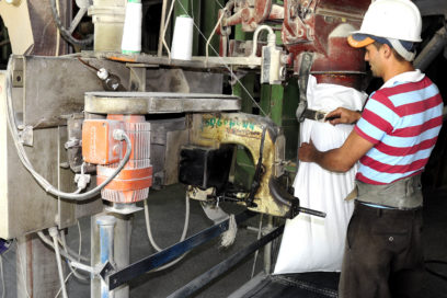 Lo que mueve la Resolución 17