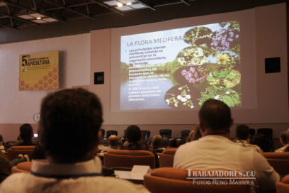 Miel cubana en mercados de excelencia (+ Fotos)