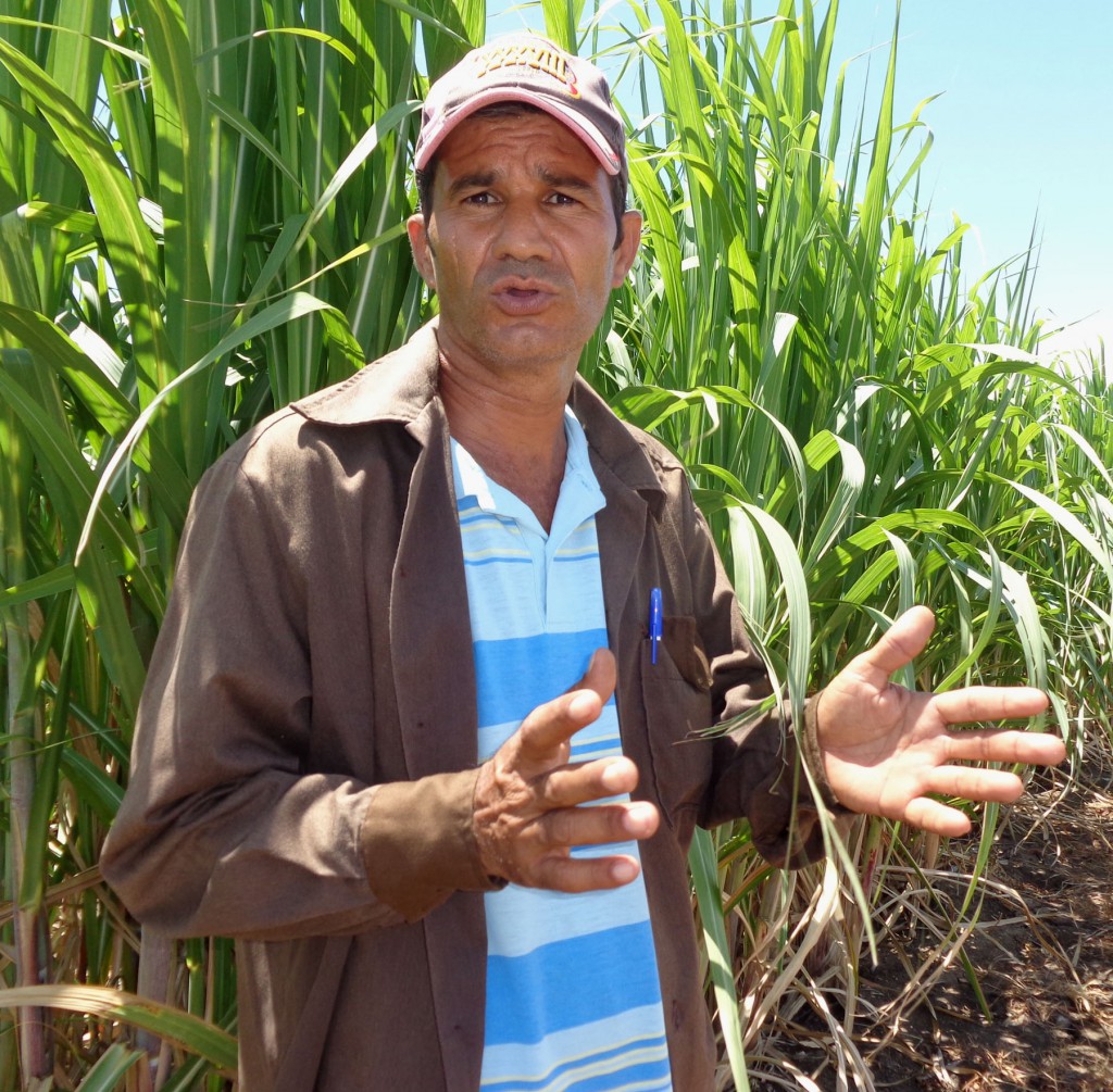 “Hoy nos proponemos altos volúmenes de siembra para más población en los campos y mejores rendimientos cañeros”, declaró Jorge Luis. Foto: Del autor