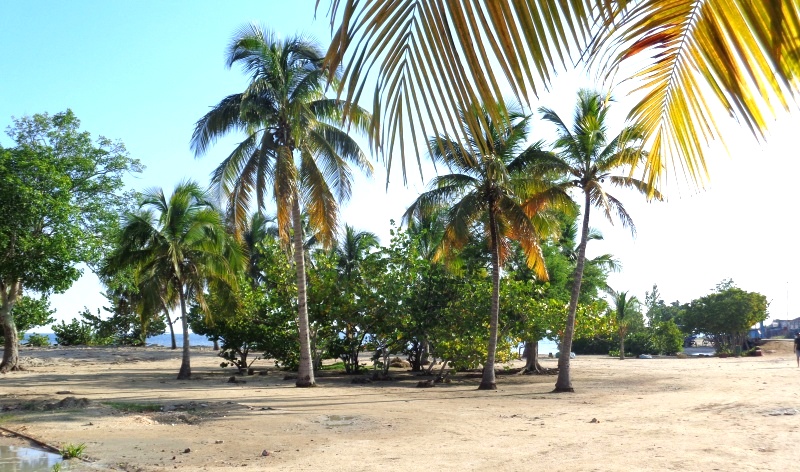Poco a poco la naturaleza impone sus atributos en el litoral.