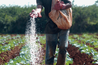 Del Código de Trabajo:  ¿Te expones a plaguicidas?