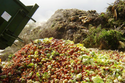 Pérdidas y desperdicios de alimentos en América Latina y el Caribe
