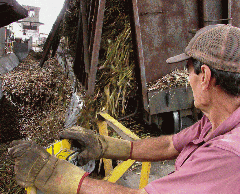 El tiro directo al basculador también reporta beneficios en la remuneración de los trabajadores. Foto: Agustín Borrego