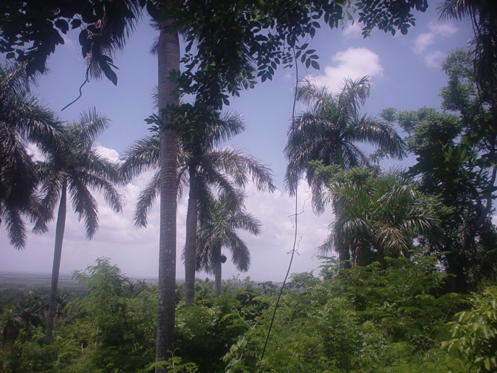 Foto: Agustín Borrego