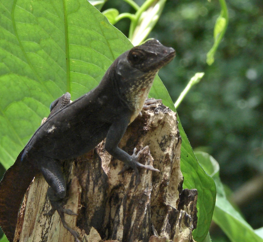 Foto: Agustín Borrego
