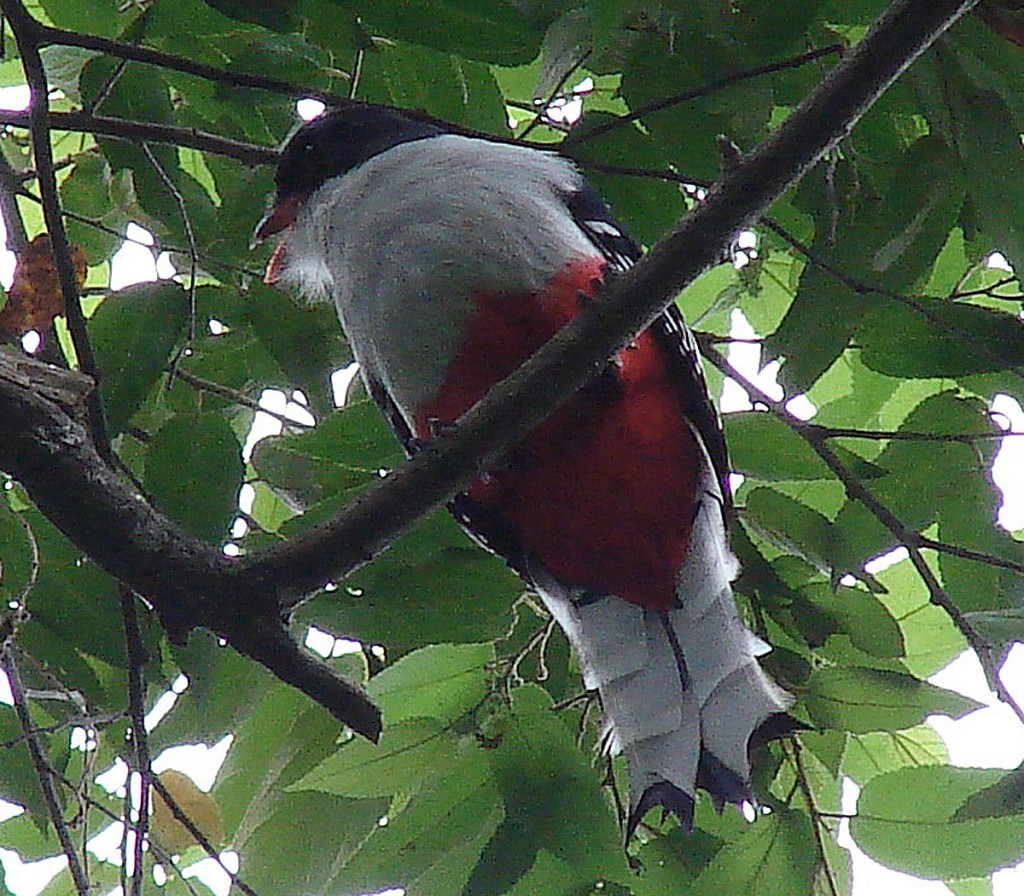 Foto: Agustín Borrego