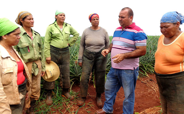 Rey precisa con las obreras los pormenores de las labores agrícolas cotidianas.
