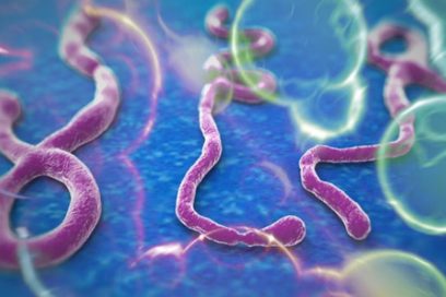 Cuba no reporta ningún caso de ébola