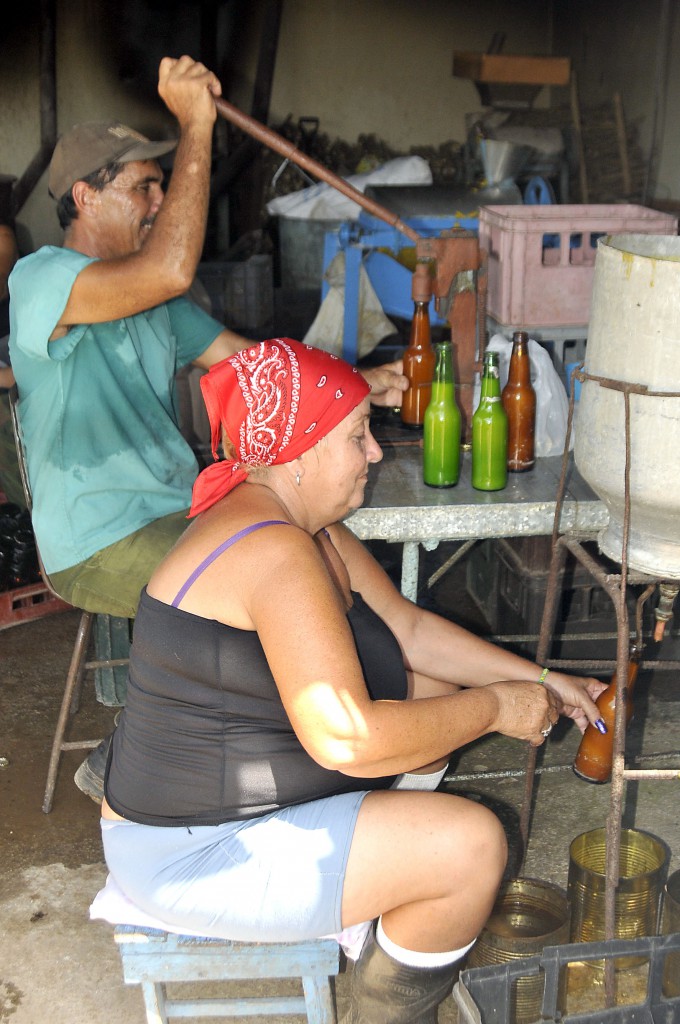 La minindustria garantiza pulpa de frutas, vinagre y encurtidos, entre otros renglones. Foto: José Raúl Rodríguez Robleda.