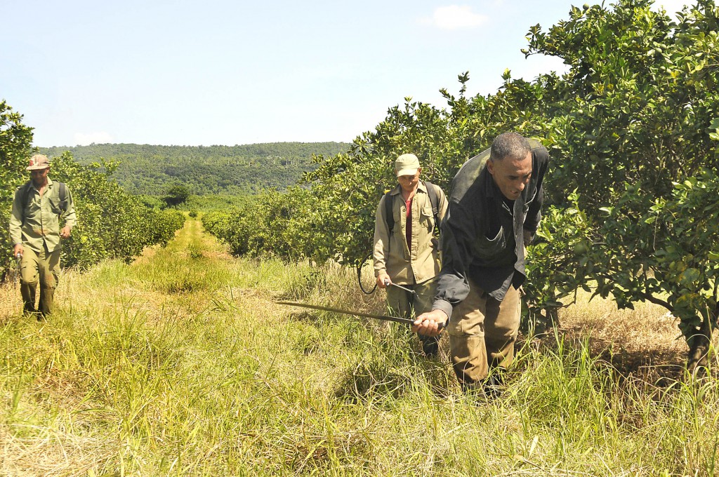 Foto: José Raúl Rodríguez Robleda.