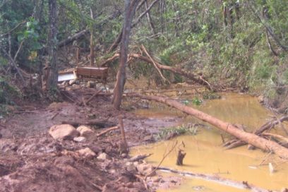 Adoptan medidas contra extracción ilegal de oro