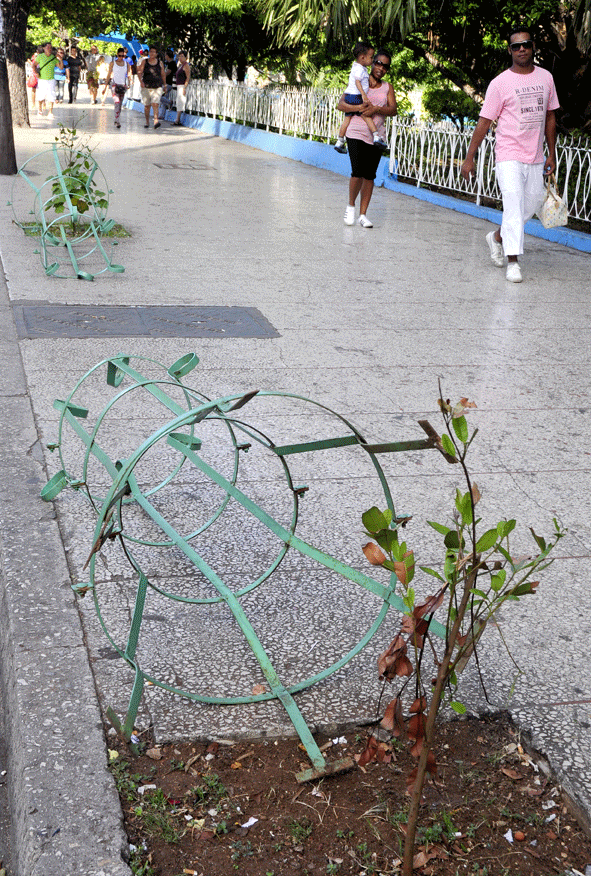 Los protectores de plantas yacían así el día en que Trabajadores visitó La Rampa. Hoy ya no existen. Foto: Roberto Carlos Medina