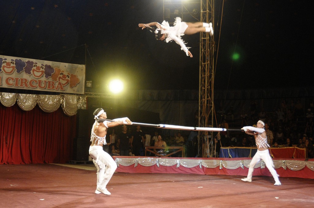 El número ganador del 2014 fue Báscula Acrobática, presentado por la Compañía Havana, que además se alzó con otros seis premios, entre ellos el de la popularidad.