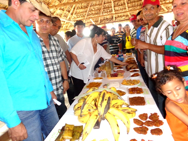 Espléndida mesa que muestra diversidad de platos elaborados a base de plátano vianda.