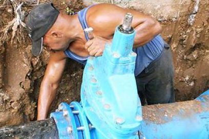 Capital humano:  una vía para la exportación