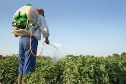 Construyen en Santiago de Cuba planta para la producción de biofertelizantes