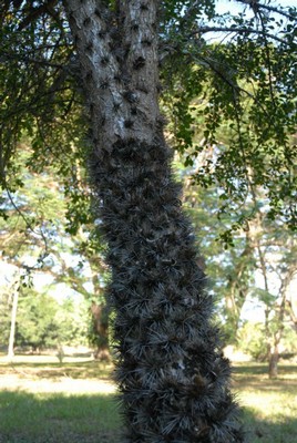 Exóticas especies esperan a los visitantes. Fotos: Vicente Brito