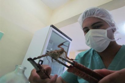 Un veneno que da vida