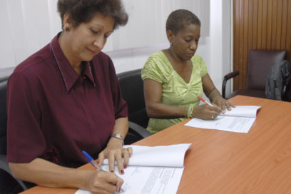 Lineamientos generales: una vía para elevar la eficiencia