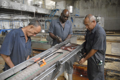 Imprescindible impasse en la producción de yogur de soya
