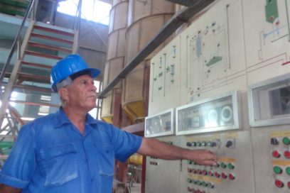 Humberto, o «Angola»: un arrocero que conoce su oficio