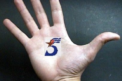 Concurso sobre la  causa de los Cinco