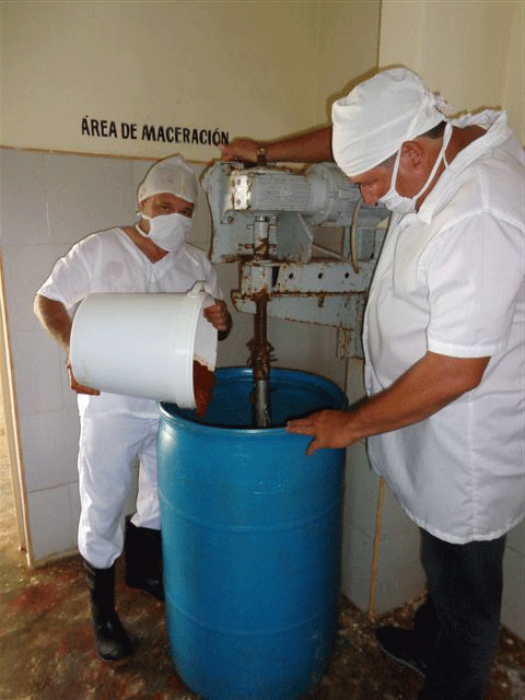 Los condimentos son elaborados a base de ajo, cebollín, orégano y otras especias deshidratadas. Foto: Del autor