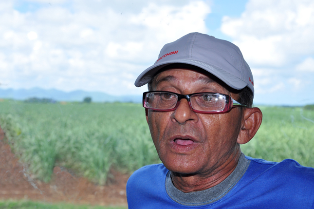 Inocente Miguel Gonzalez, cincuentenario del azúcar. Foto: Humberto Lister