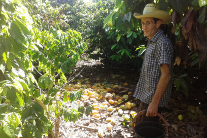 Un agricultor “científico” busca ayuda (+Fotos)