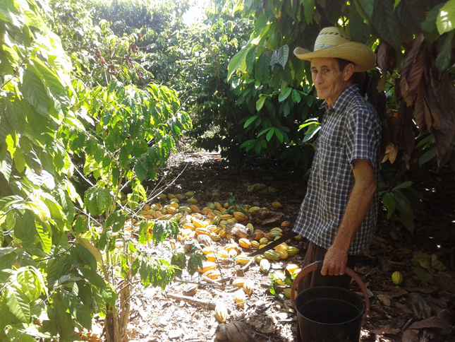 Freddy Sosa es un campesino empeñado en socializar sus experiencias en el cultivo del cacao. Fotos: Del autor.