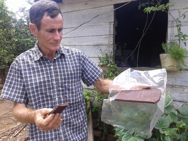 Con los frutos de la experimentación, en la casa de este campesino no faltan las barras de chocolate.