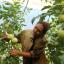 El aporte de la mujer rural a la alimentación resulta decisivo en todos los países. Foto: Modesto Gutiérrez, Ain.