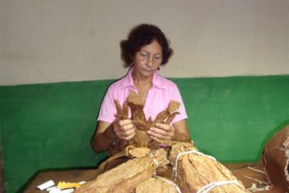 I Like to Roll Cigars