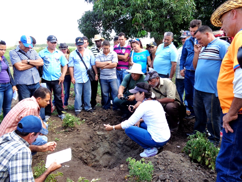 La finca es escenario constante de acciones de capacitación auspiciadas por el Programa de Innovación Agroecológica Local (PIAL). 