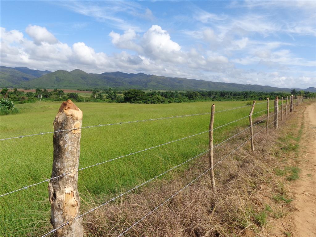 Los pastos están listos para recibir el ganado.