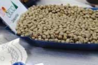 Certifican a Alto Serra con sistema integrado de Gestión