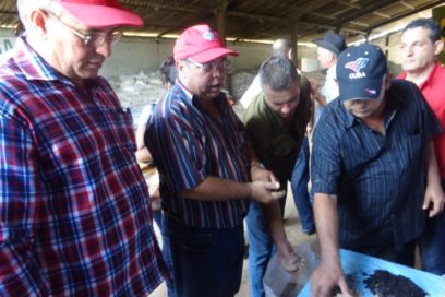 ¡El reto es llegar a 100 mil toneladas!