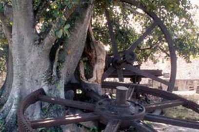 Cubanos reafirman su respaldo a la Patria y a la Revolución