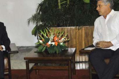 Recibe Díaz-Canel a Director General de la OPAQ